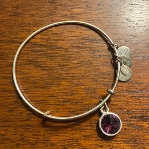 Alex and Ani February Birthstone Charm Bracelet